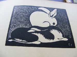 biblioteca 272 copy.jpg